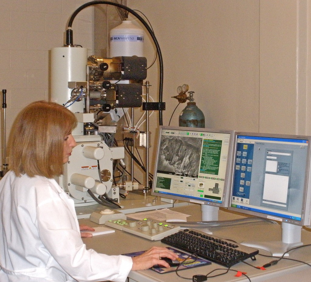 Scanning Electron Microscopy (SEM) | Center For Advanced Microscopy