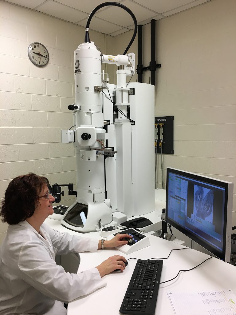 Transmission Electron Microscopy Tem Biological Sciences Center 0858