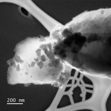Energy-filtered TEM image of particles with different compositions
