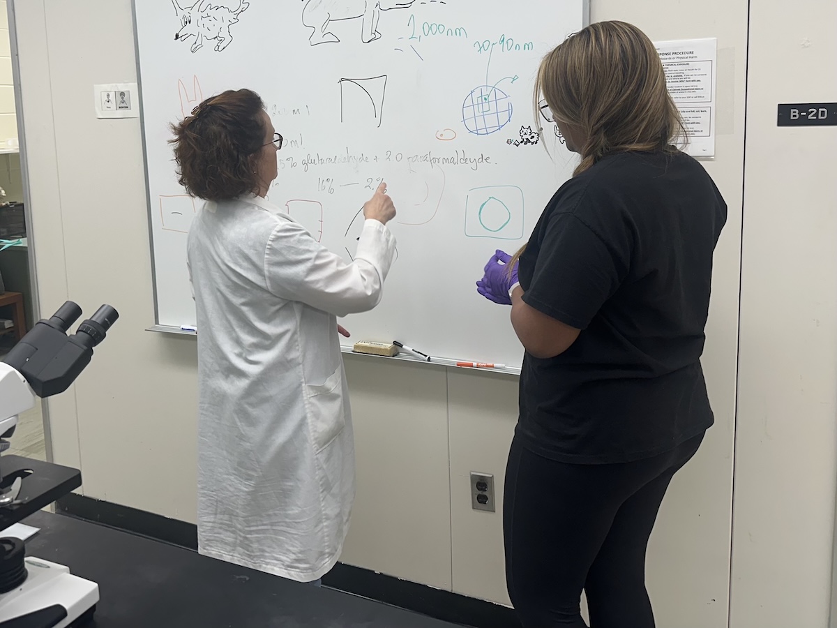 scientists at a white board
