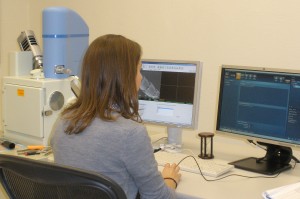 Scanning Electron Microscopy (SEM) | Center for Advanced Microscopy